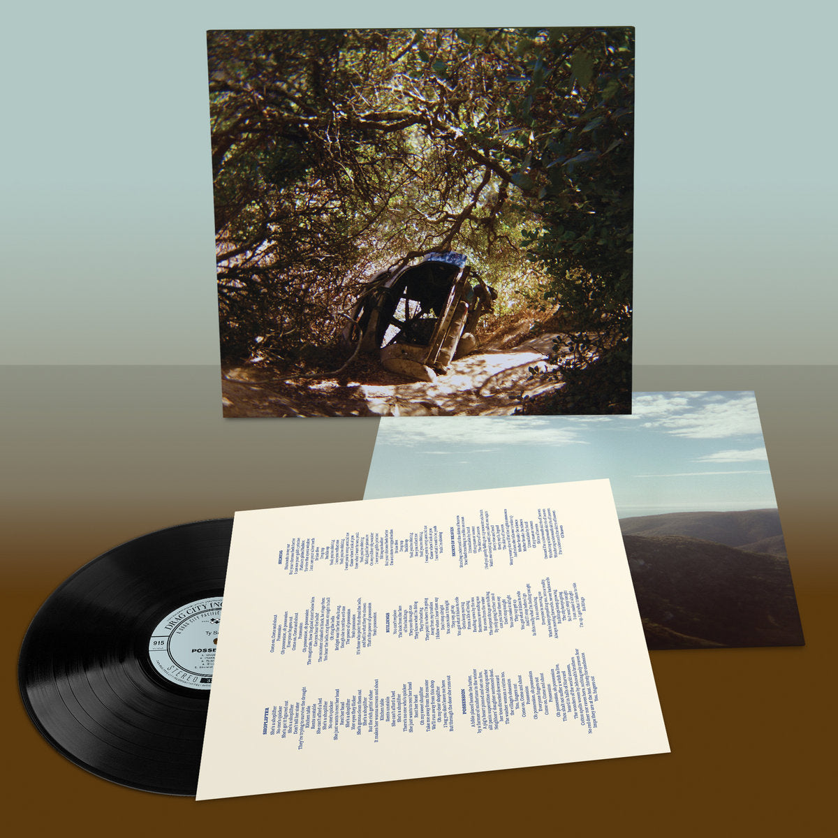 Ty Segall - Possession