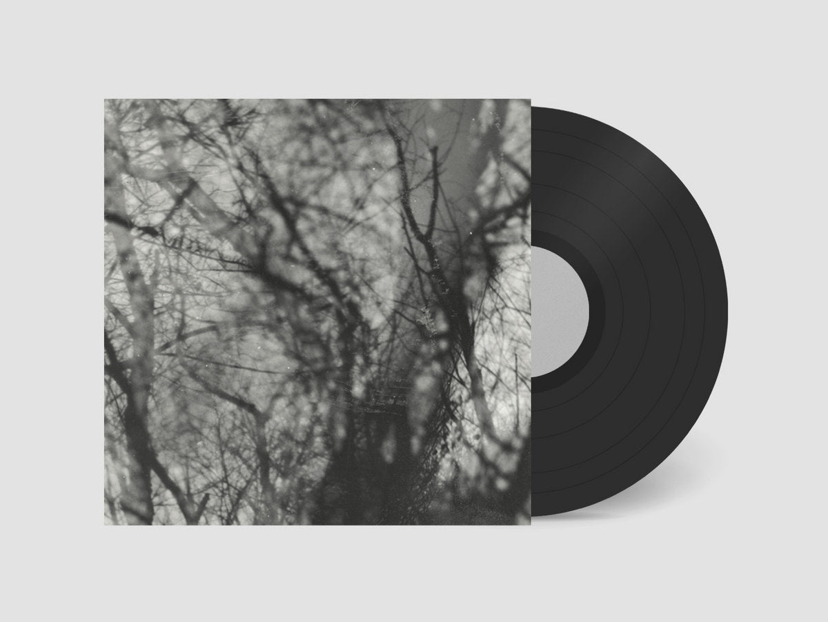 Grouper- Way Their Crept