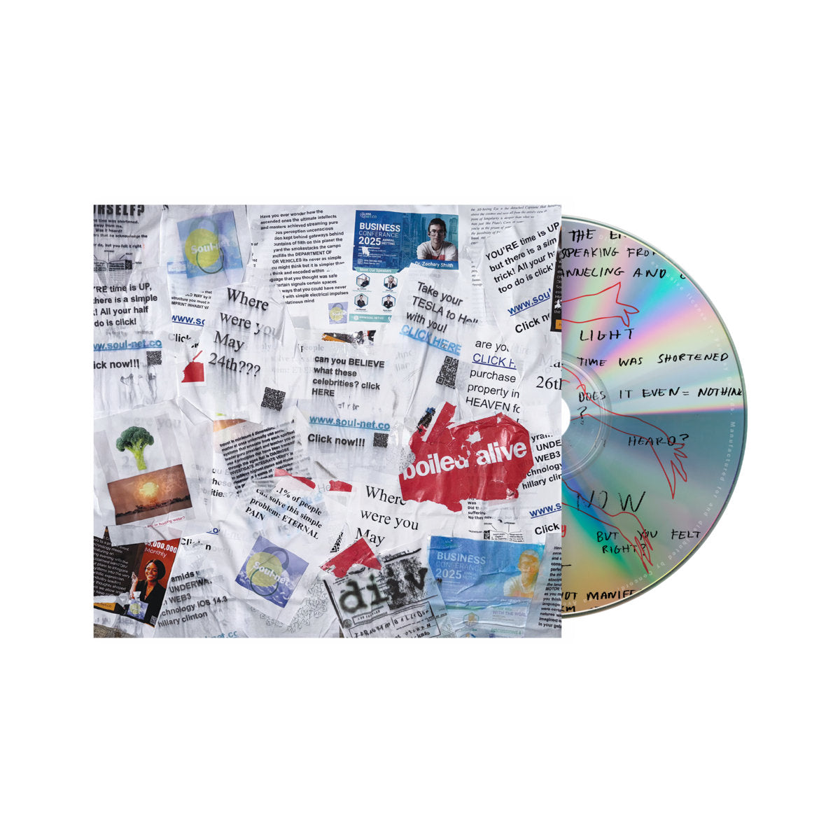 DIIV- Boiled Alive: Live At Teragram Ballroom