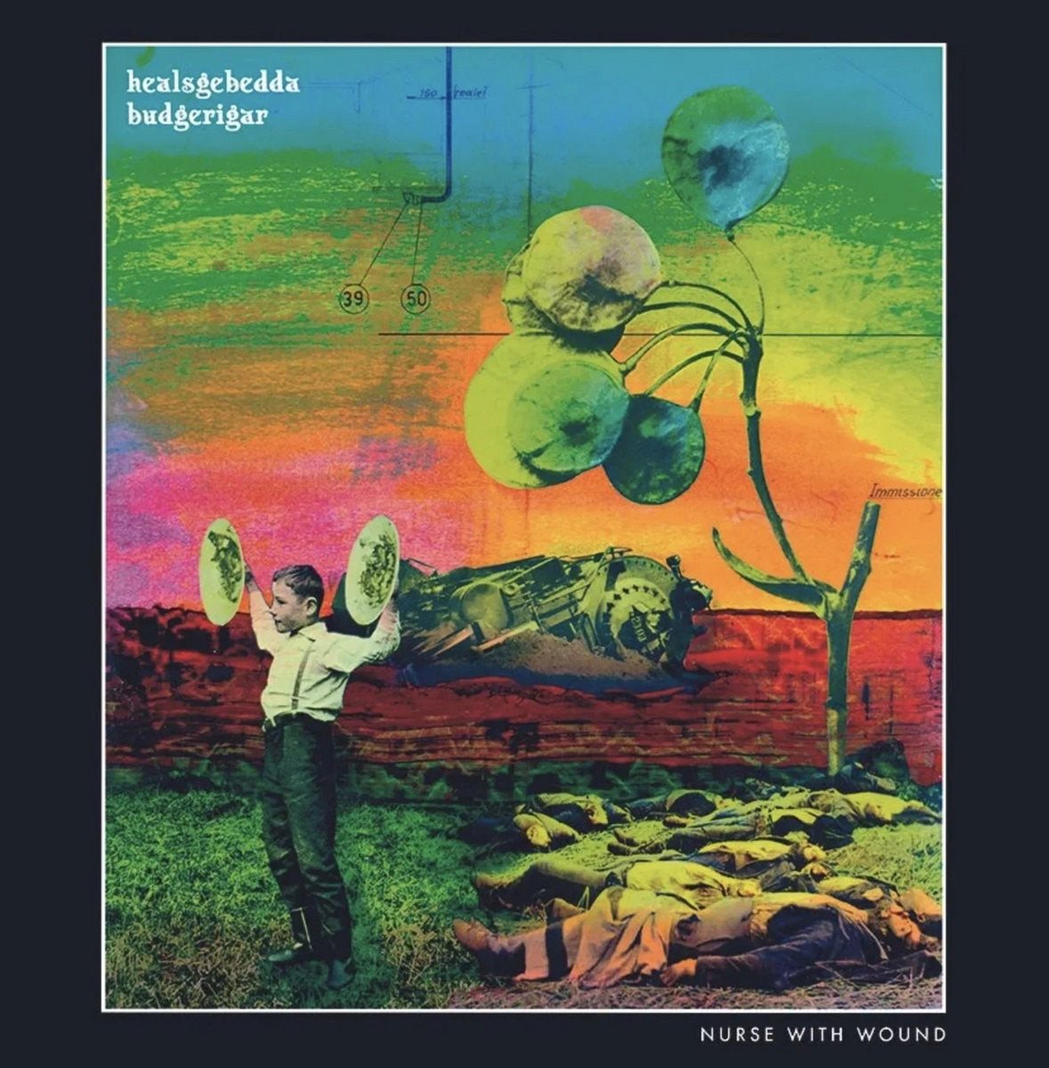 Nurse With Wound- Healsgebedda Budgerigar