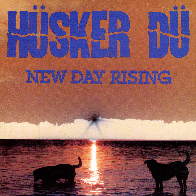 Hüsker Dü- New Day Rising