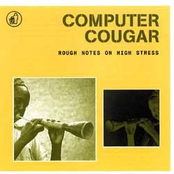 Computer Cougar- Rough Notes On High Stress