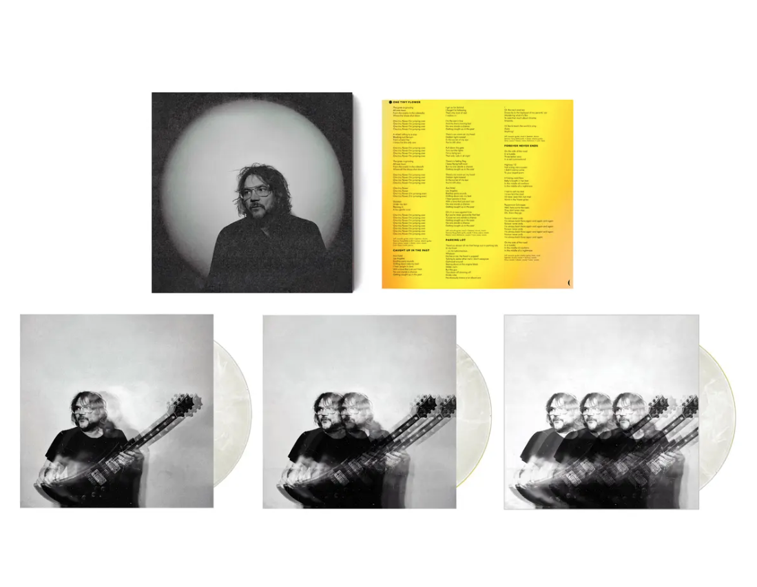 Jeff Tweedy- Twilight Override