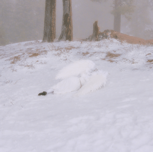 Wisp- Pandora – Waiting Room Records