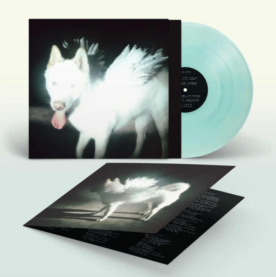 Fat Dog- Cancel Me (I'm Tired) PREORDER OUT 10/2