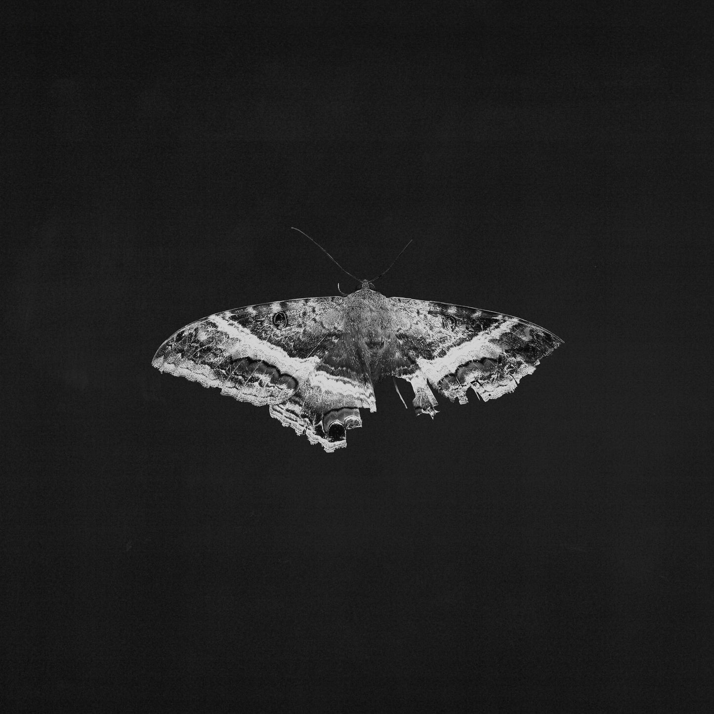 Kendrick Lamar - To Pimp A Butterfly (10 Year Anniversary)