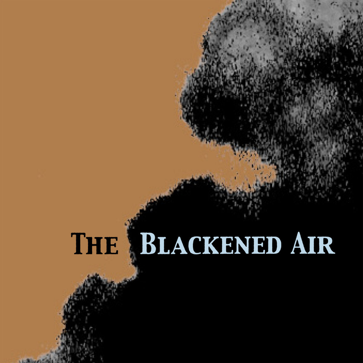Nina Nastasia- The Blackened Air