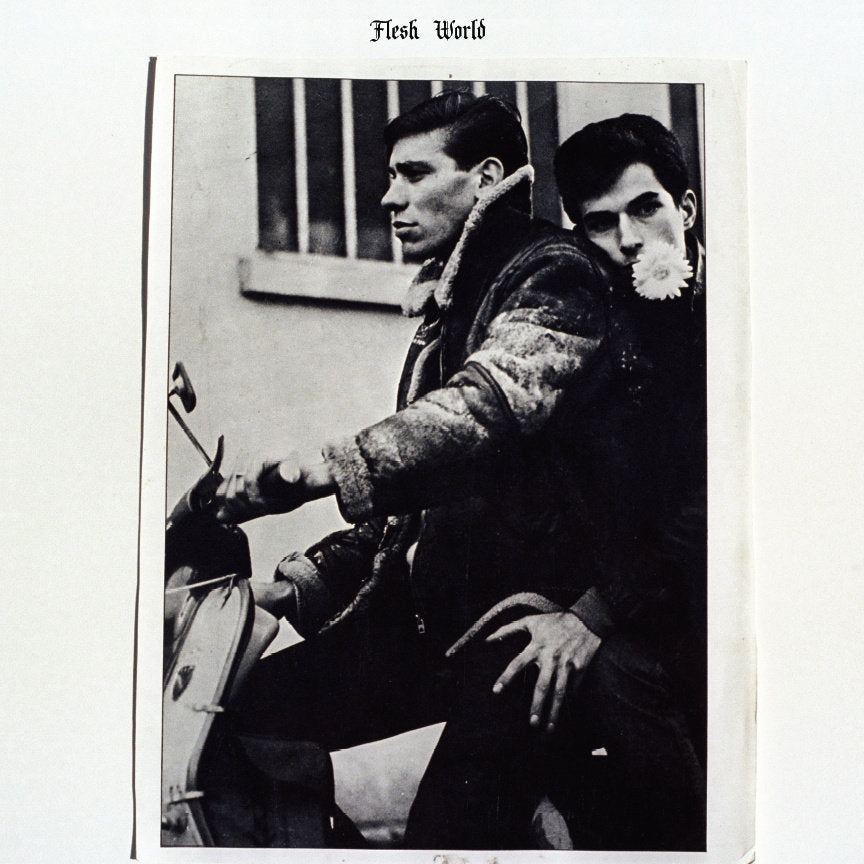 Flesh World- Flesh World