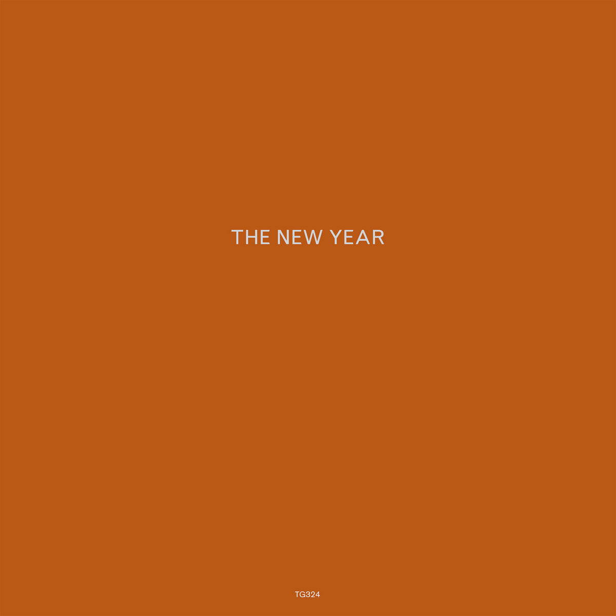 The New Year- The New Year