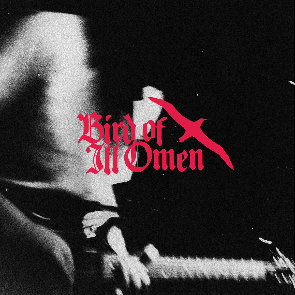 Bird Of Ill Omen- Discography