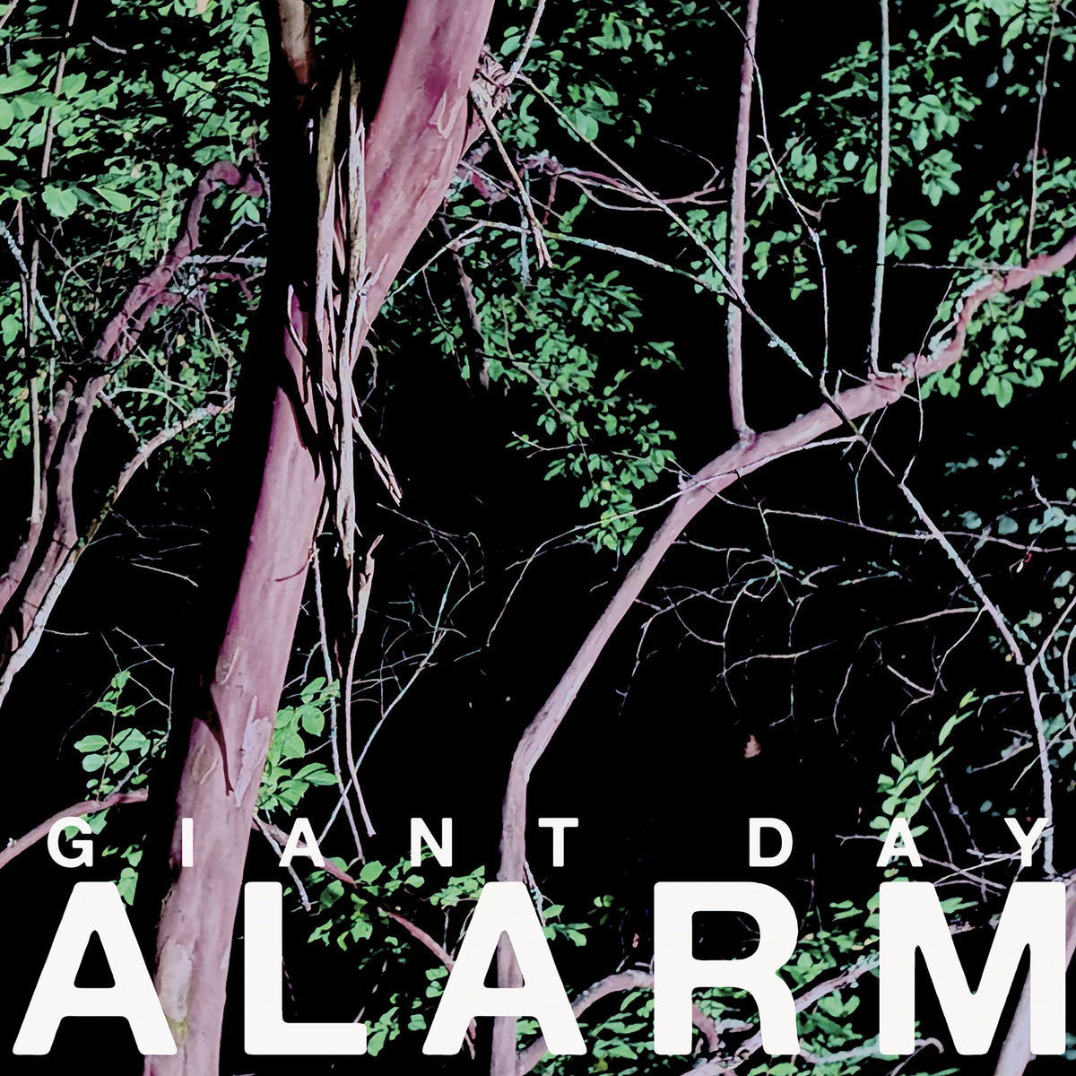 Giant Day- Alarm