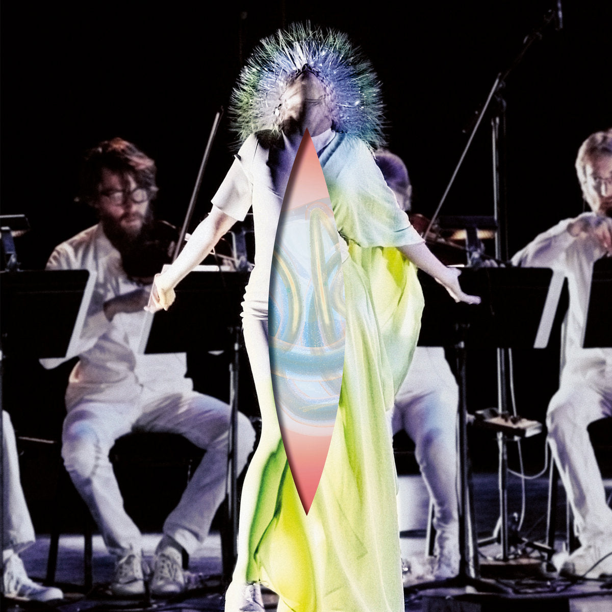 Björk- Vulnicura Strings
