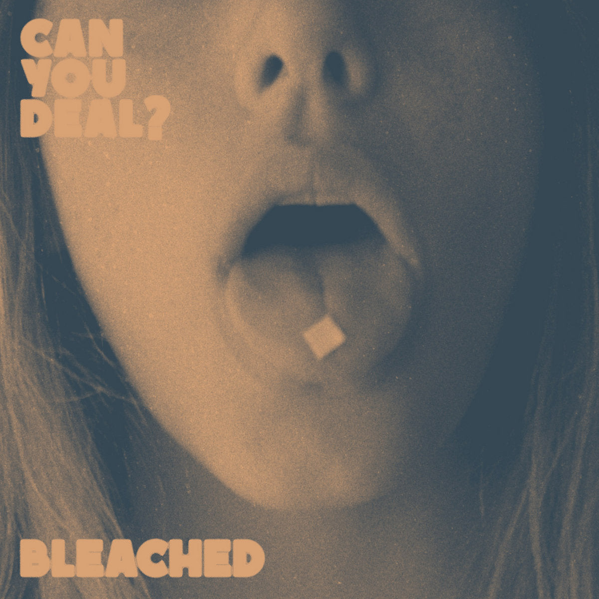 Bleached- Can You Deal?