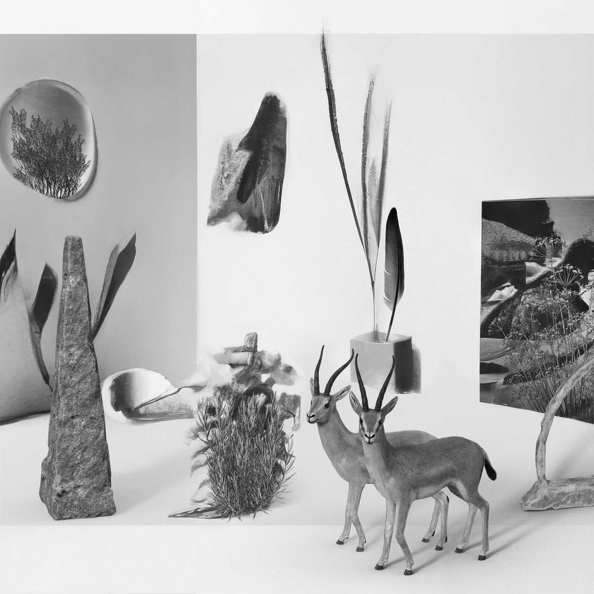 Tramuntanas- Tramuntanas