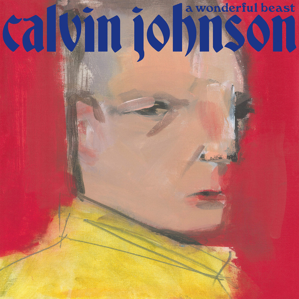 Calvin Johnson- A Wonderful Beast