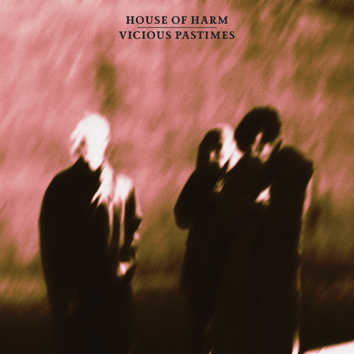 House Of Harm- Vicious Pastimes