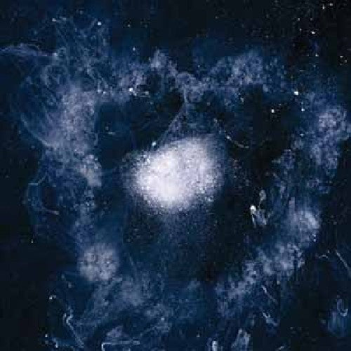 Swans- My Father Will Guide Me Up a Rope to the Sky