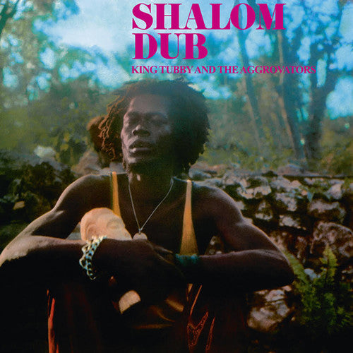 King Tubby & The Aggrovators- Shalom Dub