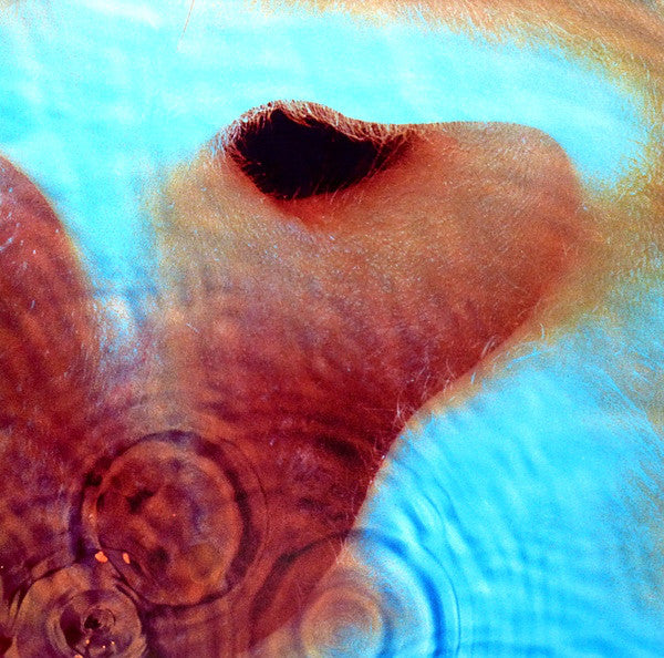 Pink Floyd- Meddle