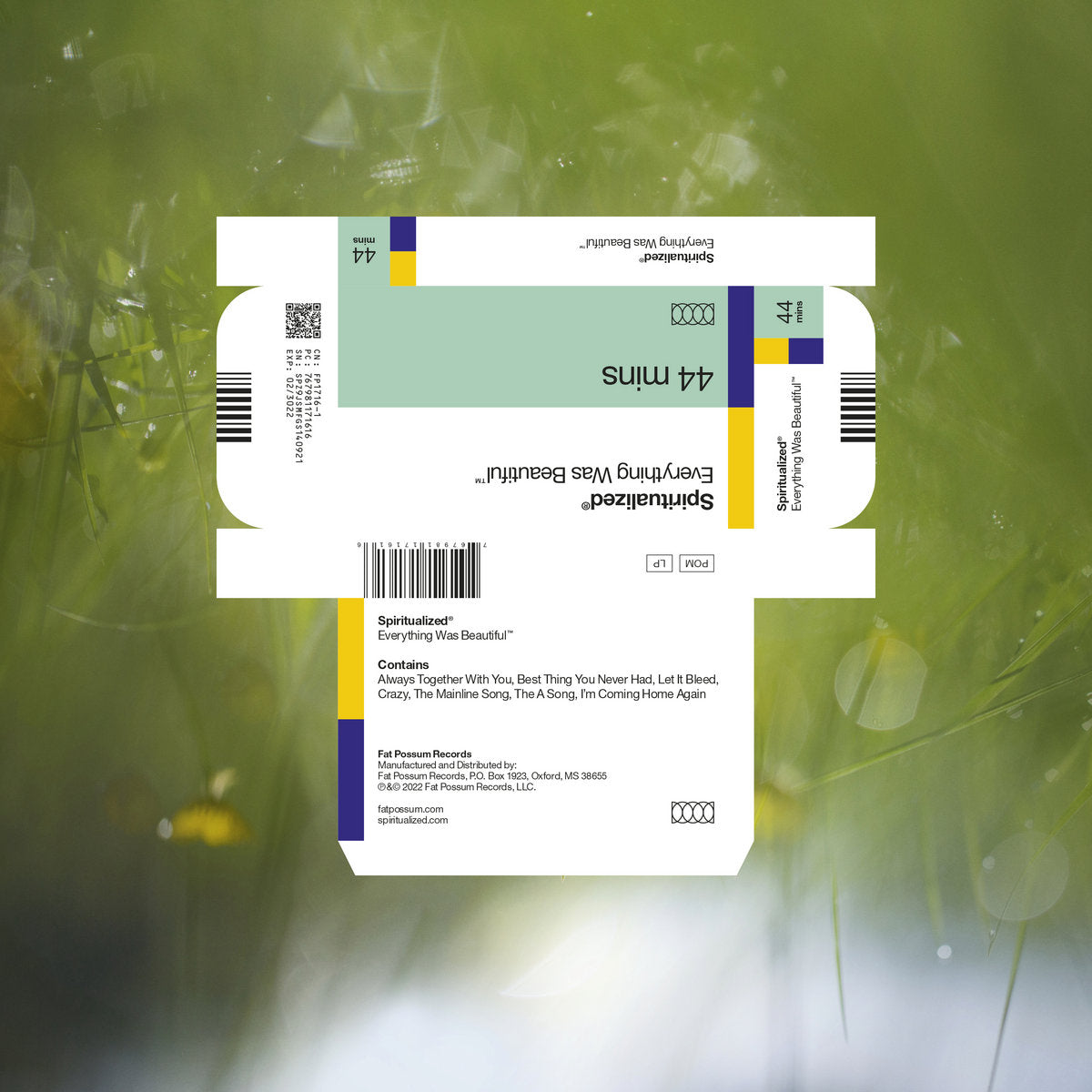 Spiritualized- Everything Was Beautiful