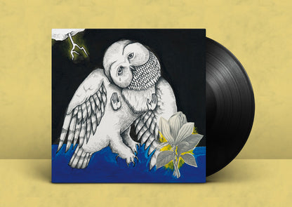 Songs: Ohia- Magnolia Electric Co.