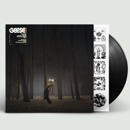 Geese- Projector