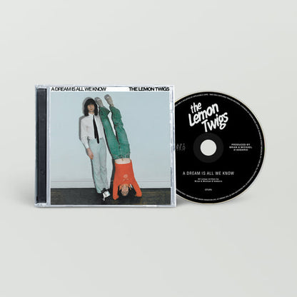 The Lemon Twigs- A Dream Is All We Know