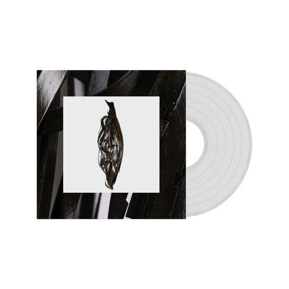 Into It. Over It.- Interesting Decisions