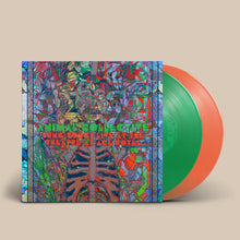 Load image into Gallery viewer, Animal Collective- Sung Tongs Live At The Theatre At Ace Hotel