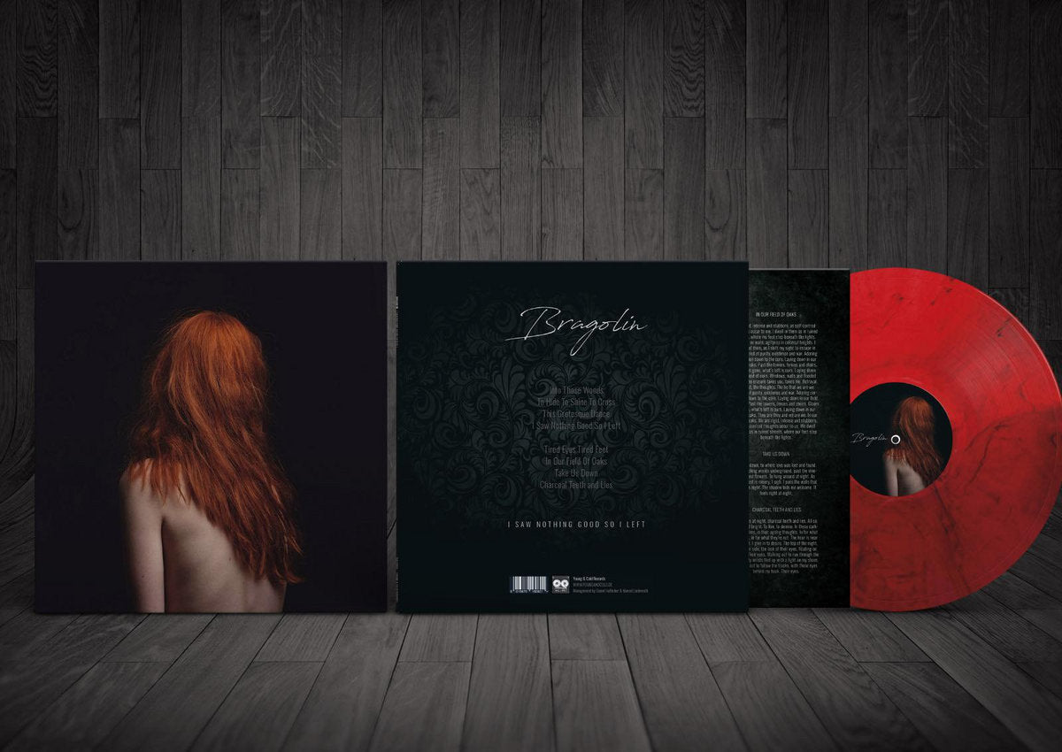 Bragolin- I Saw Nothing Good So I Left