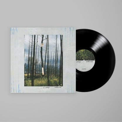 S. Carey [Bon Iver] - Watercress