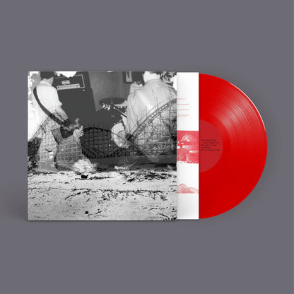 Nuzzle- Follow, For Now
