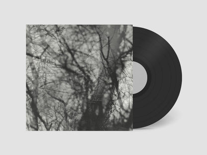 Grouper- Way Their Crept