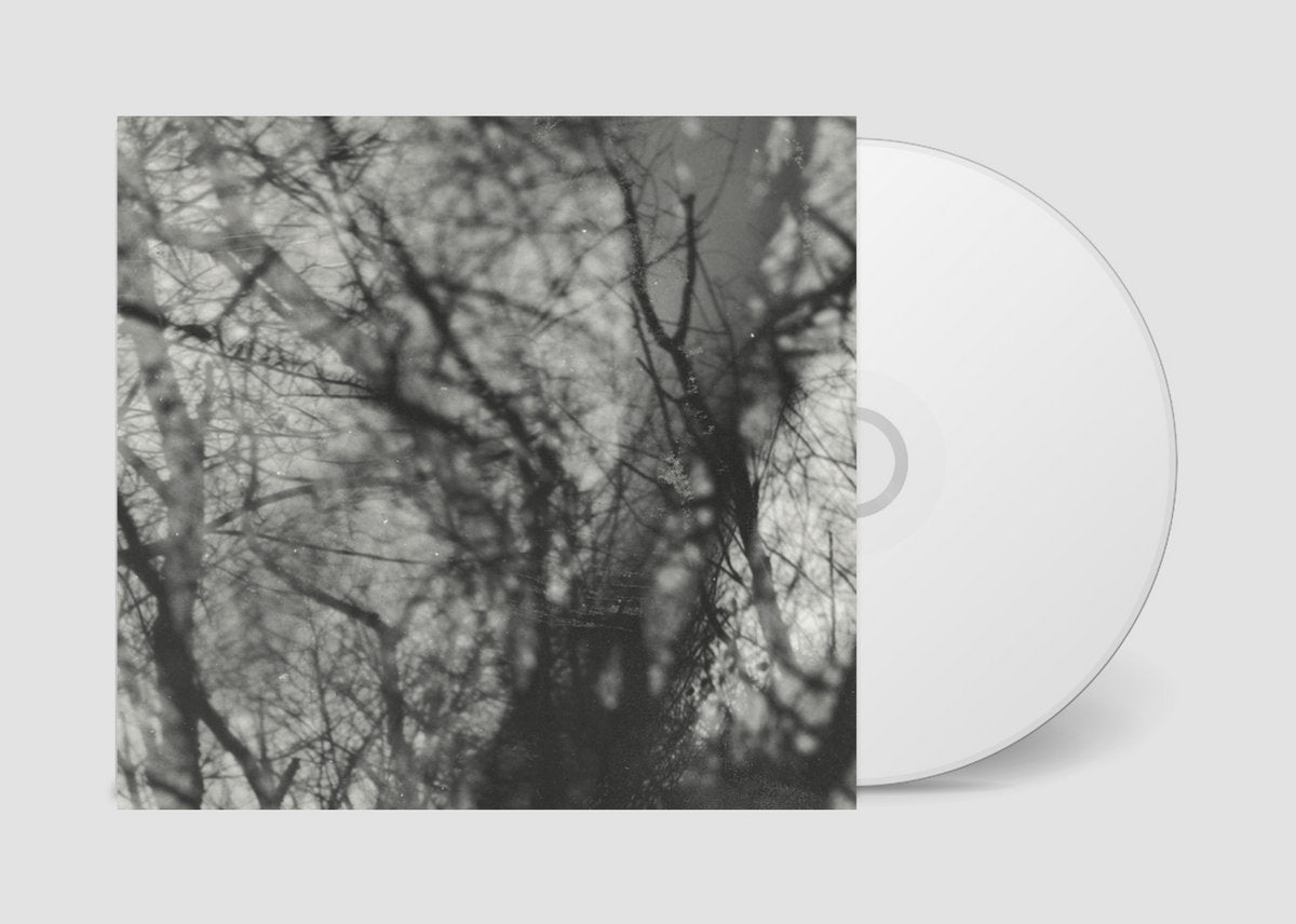 Grouper- Way Their Crept