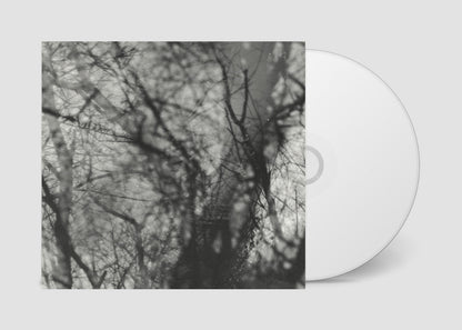 Grouper- Way Their Crept