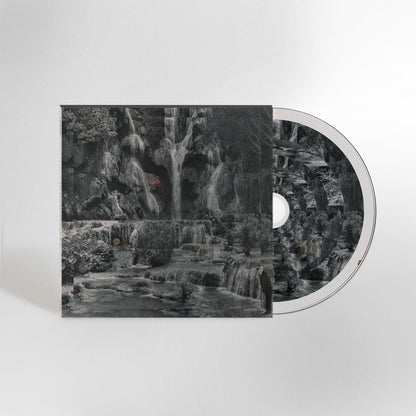 Lambchop- Punching The Clown PREORDER OUT 8/21