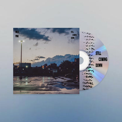 Wild Pink- Still Coming Down PREORDER OUT 8/21
