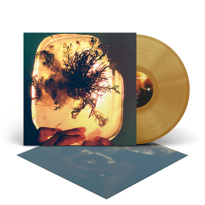 L'Rain- fata morgana PREORDER OUT 8/14