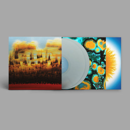 Bonobo- Distance In Static PREORDER OUT 9/11