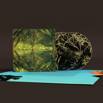 Band Of Horses- Everything All The Time (20th Anniversary Edition)