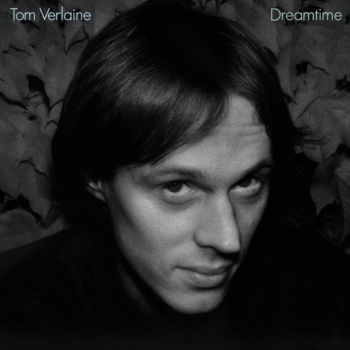 Tom Verlaine- Dreamtime PREORDER OUT 10/16