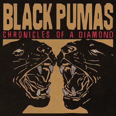 Black Pumas- Chronicles Of A Diamond