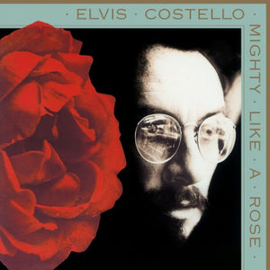 Elvis Costello- Mighty Like A Rose