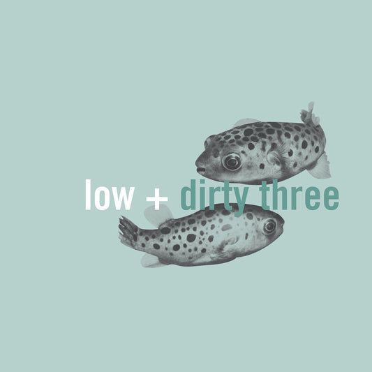 Low + Dirty Three- In The Fishtank