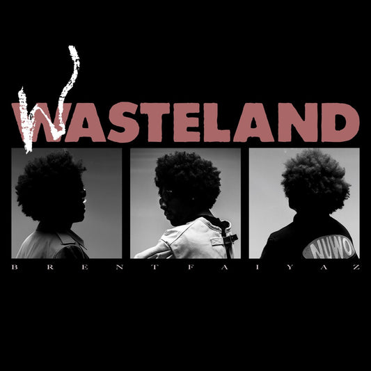 Brent Faiyaz- Wasteland