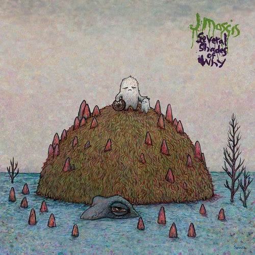 J. Mascis- Several Shades Of Why