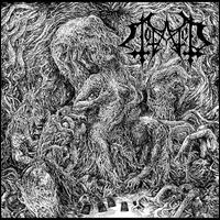 Totaled- Lament