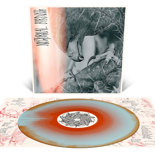 Author & Punisher - Nocturnal Birding