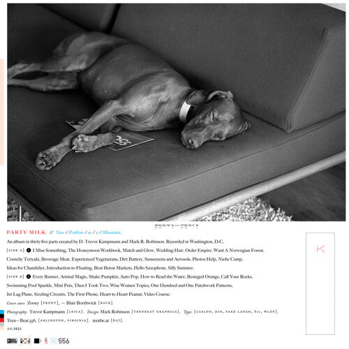 Party Milk- Your Problem As A Mountain