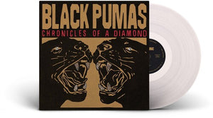 Black Pumas- Chronicles Of A Diamond